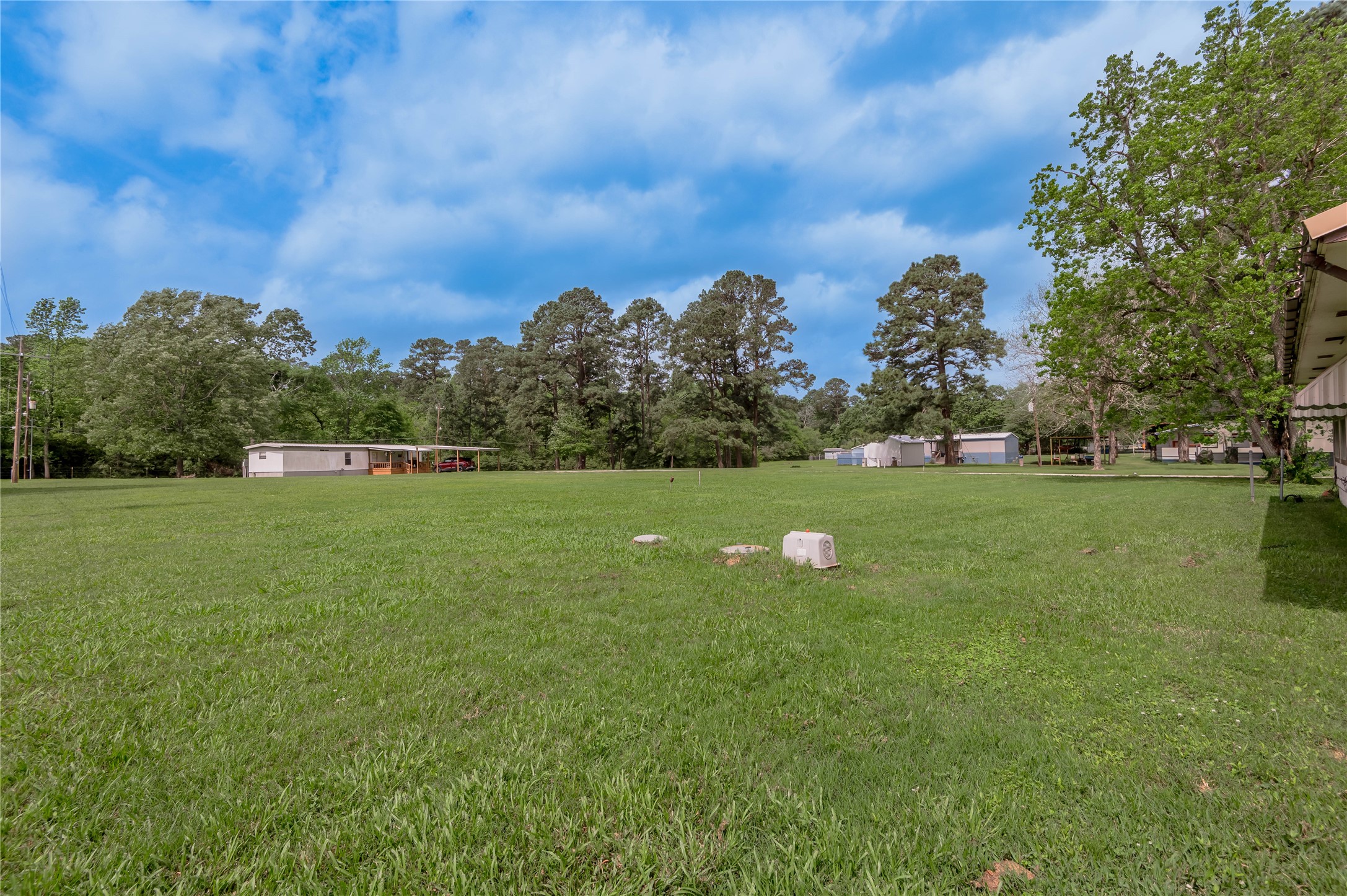 151 Moon Lake Drive Trinity, TX 75862 - Photo 36 of 46 a view of a golf course with a lake