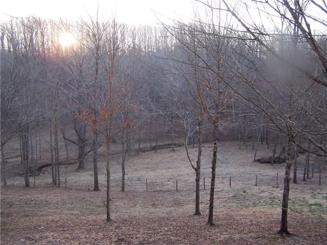 556 Lowe Branch Road Centerville, TN 37033 - Photo 14 of 20 this would be your view off the front covered deck