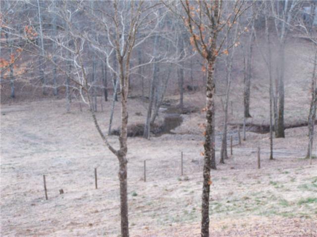 556 Lowe Branch Road Centerville, TN 37033 - Photo 15 of 20 Gallery Image 15