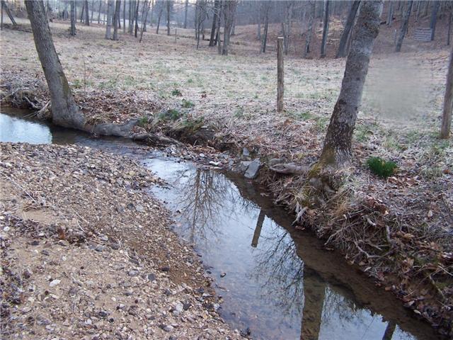 556 Lowe Branch Road Centerville, TN 37033 - Photo 3 of 20 Creek wandering thru property
