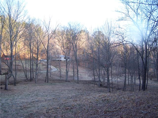 556 Lowe Branch Road Centerville, TN 37033 - Photo 4 of 20 this shows how far off the road the home sits
