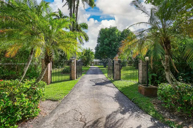 a view of a park with plants and trees