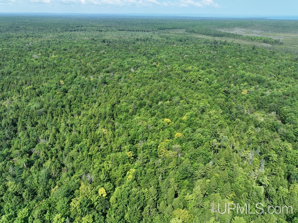 0 Peter White Road Au Train, MI 49806 - Photo 2 of 12