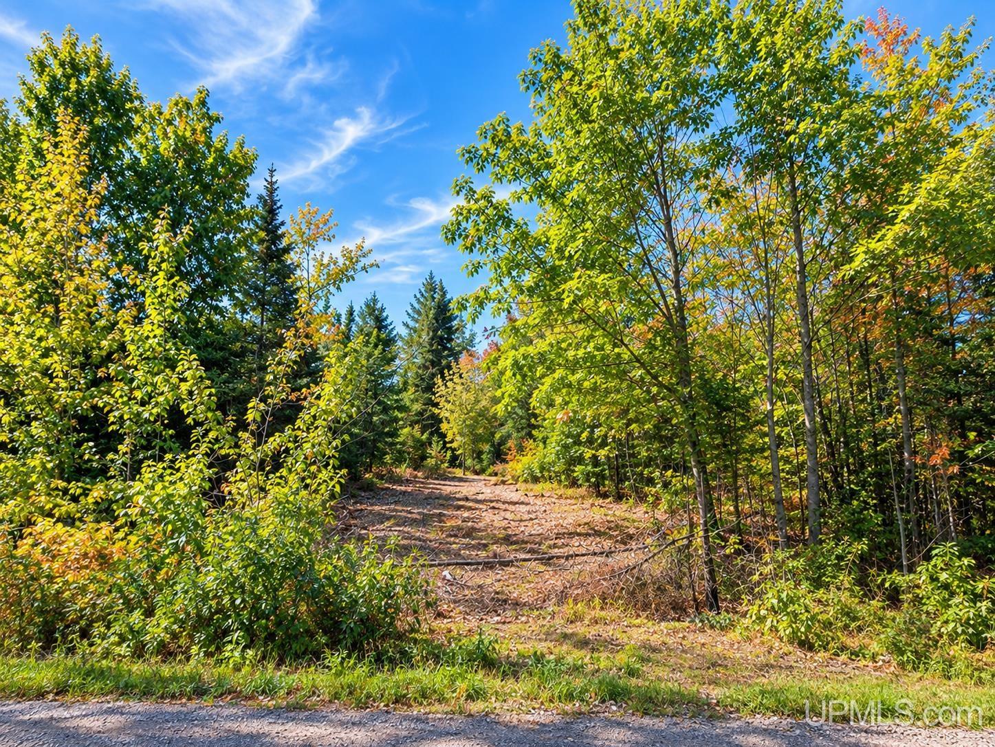 Xxx Kuusisto Road Hurley, WI 54534 - Photo 6 of 6 Gallery Image 6