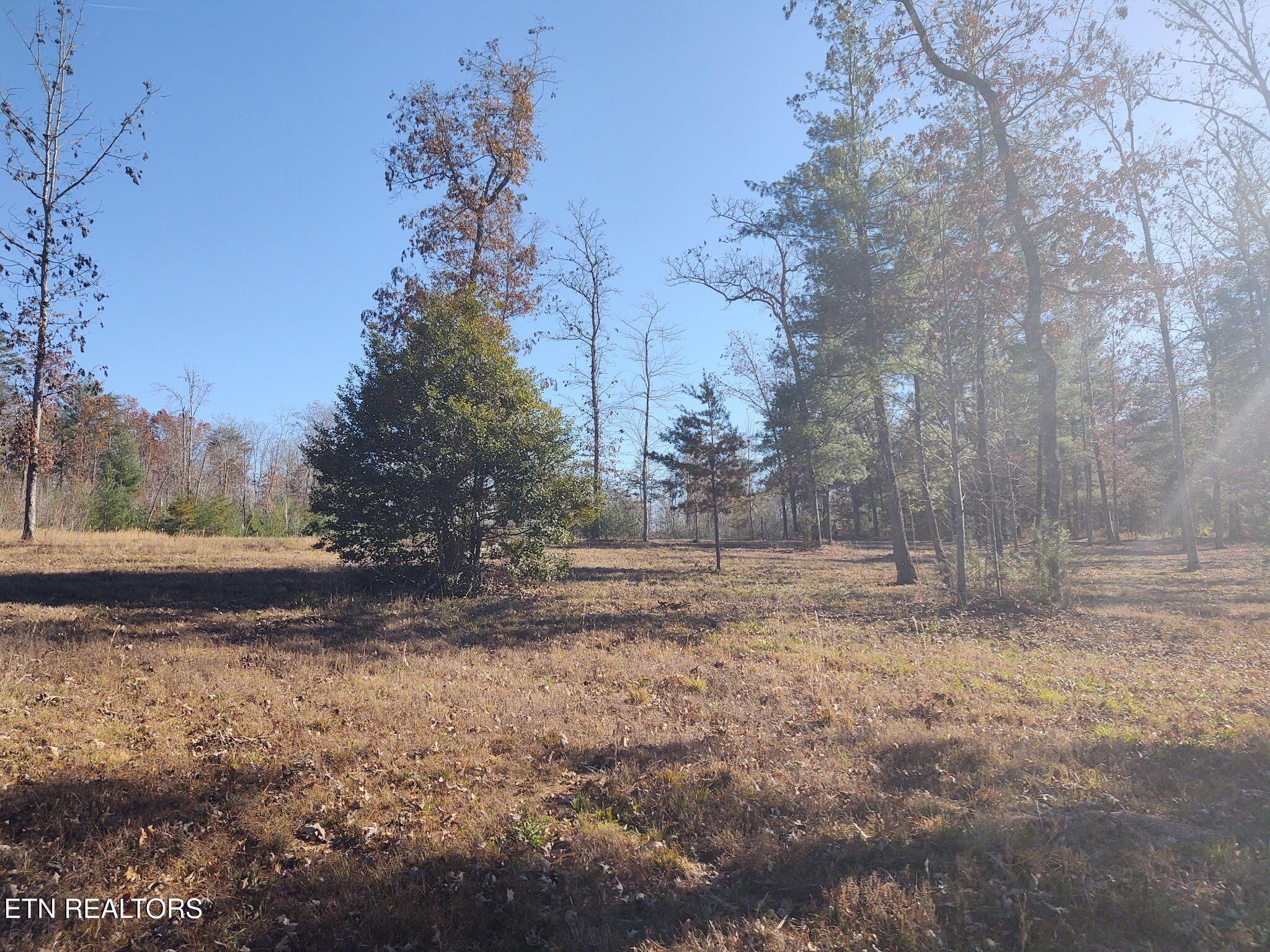 1241 Twin Bridge Road Deer Lodge, TN 37726 - Photo 35 of 35 Gallery Image 35
