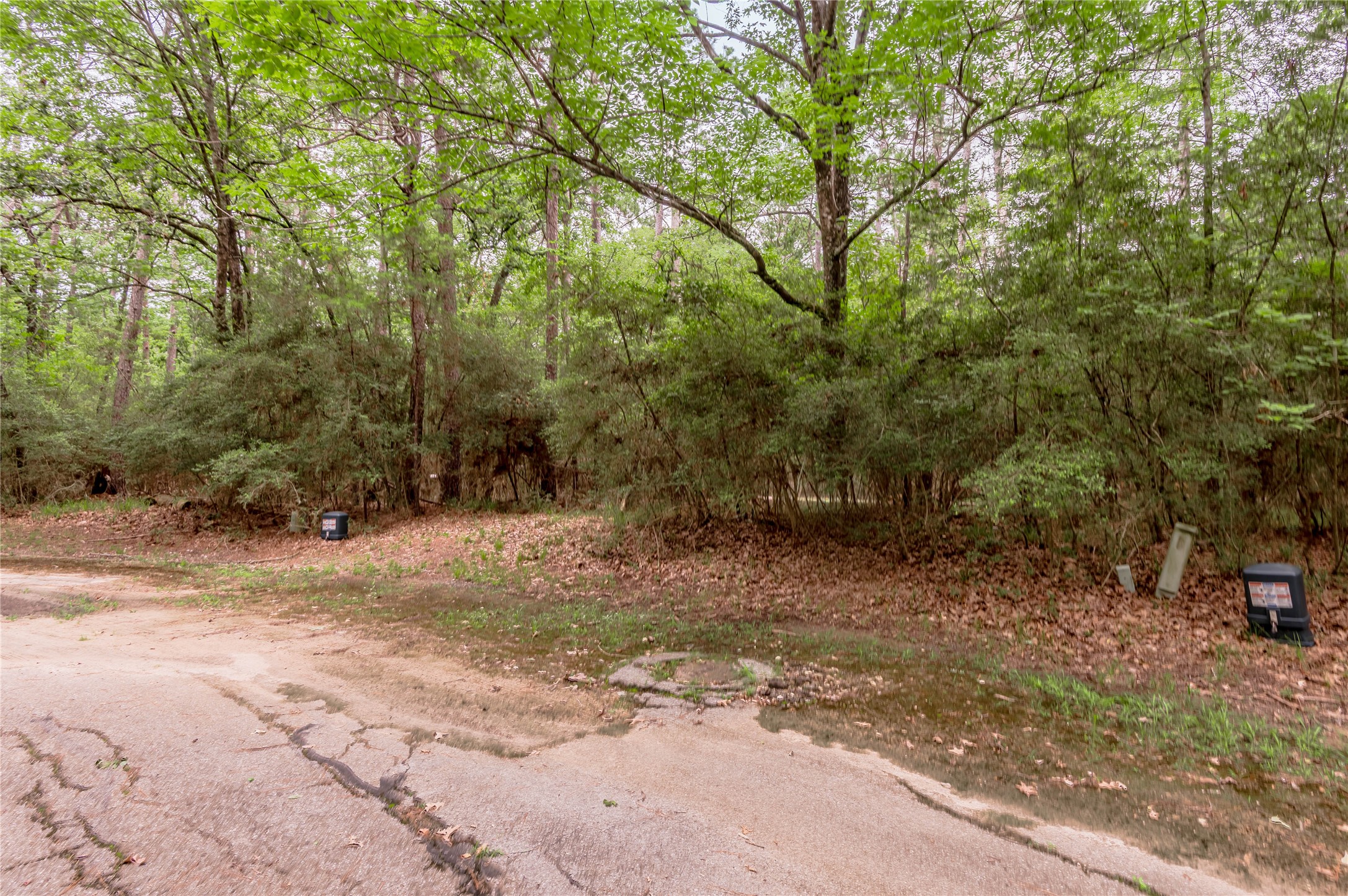 Lot 9 Rohm Place Point Blank, TX 77364 - Photo 5 of 26