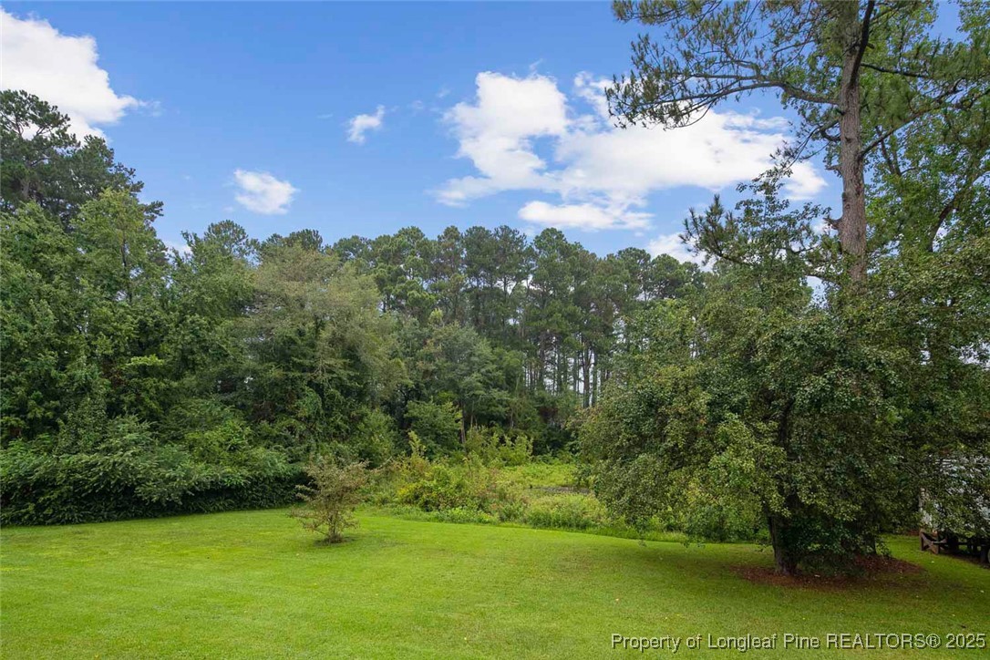196 Warner Road Raeford, NC 28376 - Photo 39 of 50 Gallery Image 39