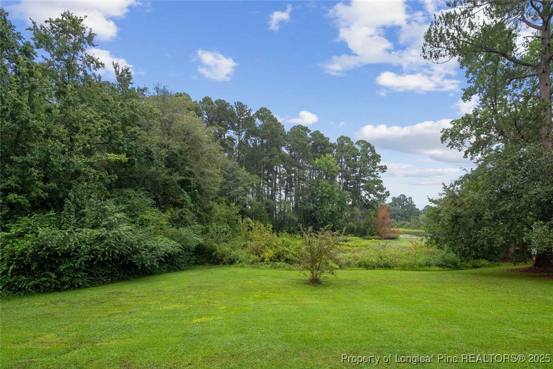 196 Warner Road Raeford, NC 28376 - Photo 40 of 50 Gallery Image 40