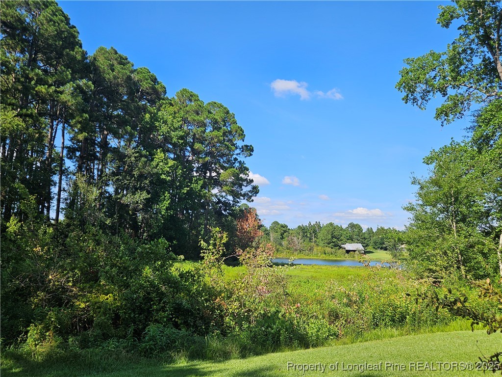 196 Warner Road Raeford, NC 28376 - Photo 42 of 50 Gallery Image 42