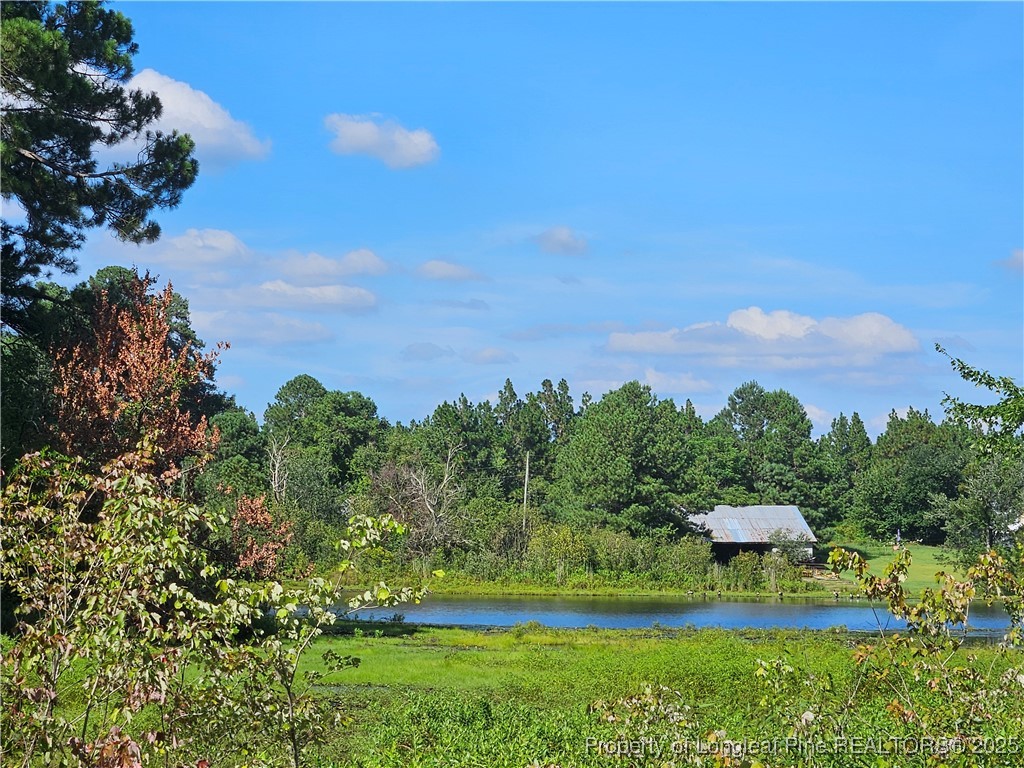 196 Warner Road Raeford, NC 28376 - Photo 43 of 50 Gallery Image 43
