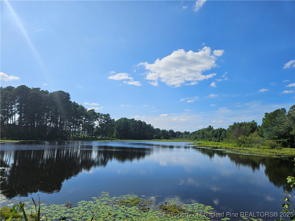 196 Warner Road Raeford, NC 28376 - Photo 48 of 50 Gallery Image 48