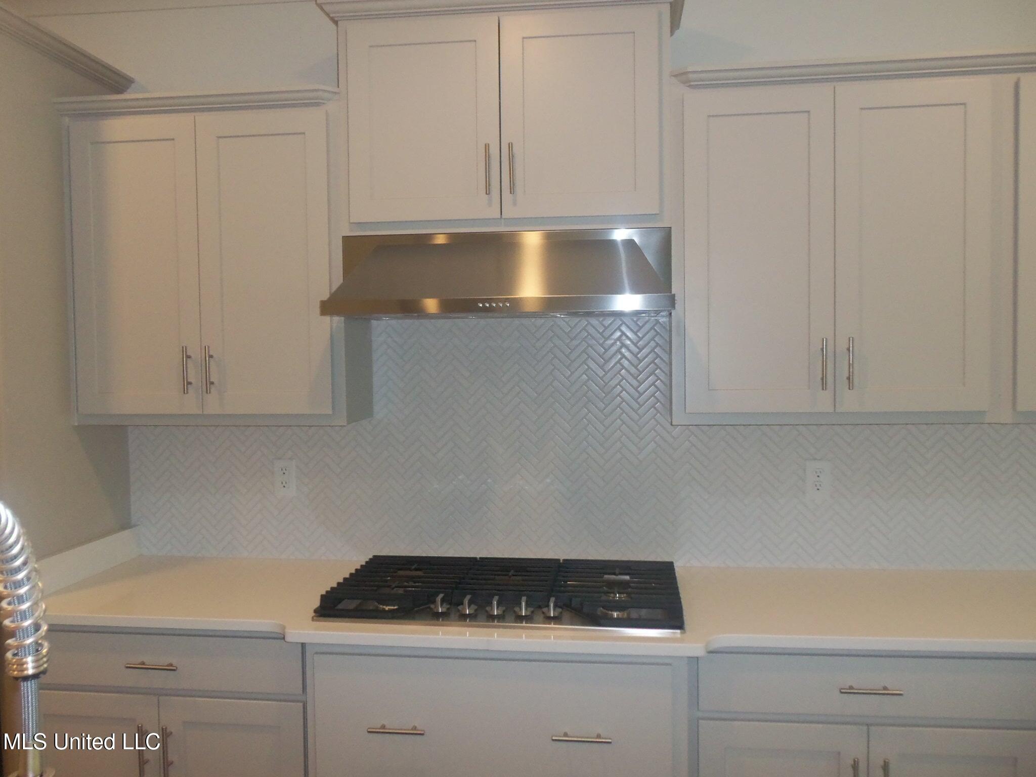 3372 Blooming Grv Road Olive Branch, MS 38654 - Photo 10 of 23 100_1436