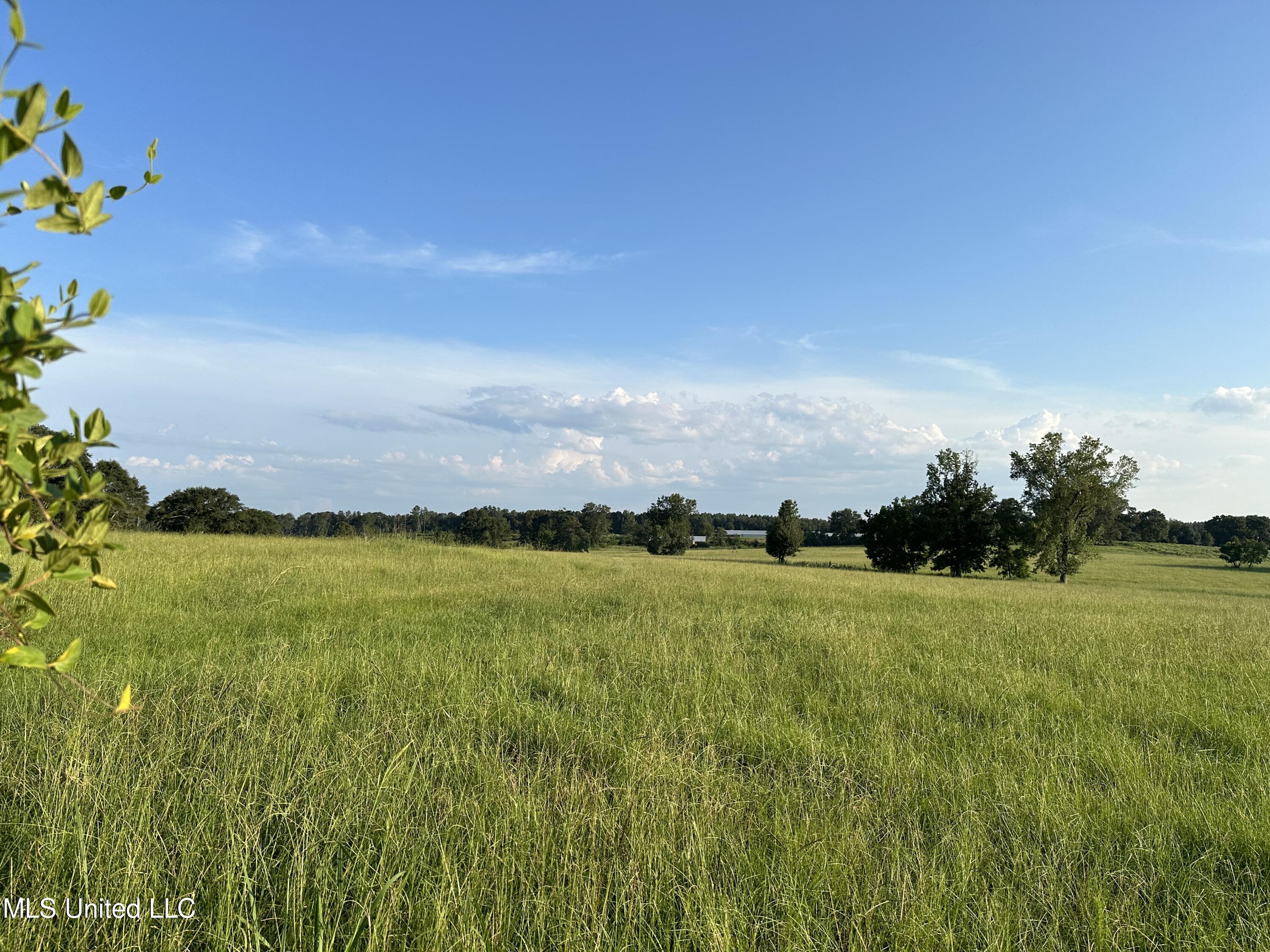 1002 Ms-532 Mount Collins, MS 39428 - Photo 4 of 13 IMG_2032