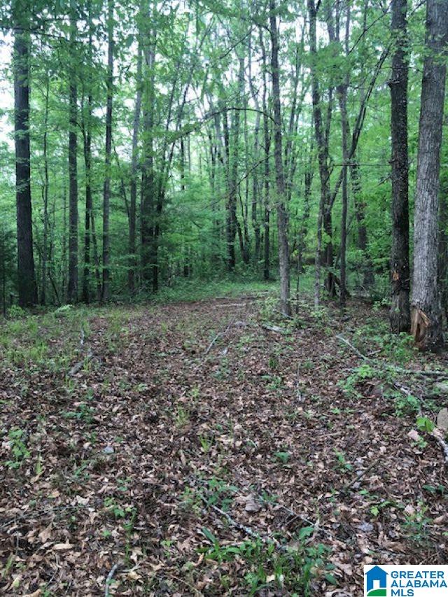 244 County Road, Unit 9 Woodland, AL 36280 - Photo 3 of 5