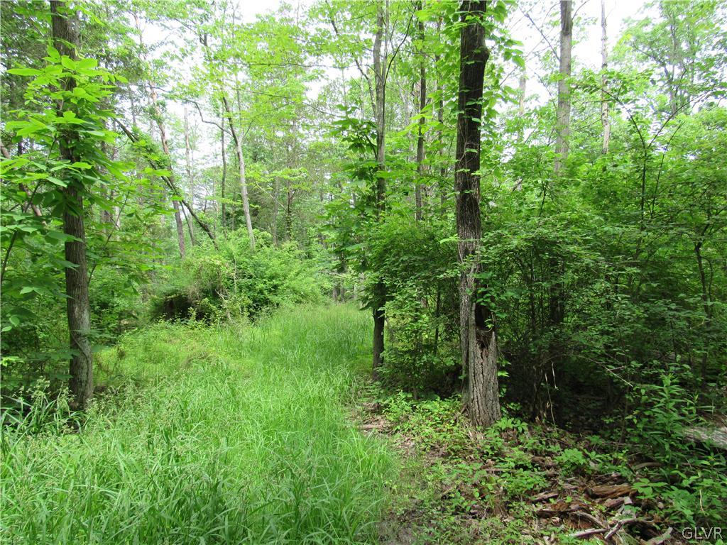 Hiffletrayer Road Green Lane, PA 18054 - Photo 3 of 9 a view of a lush green forest