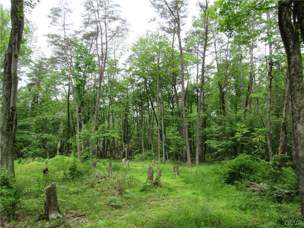 Hiffletrayer Road Green Lane, PA 18054 - Photo 7 of 9 a view of lush green forest