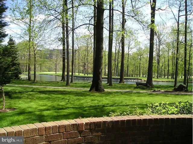 a view of a park with large trees