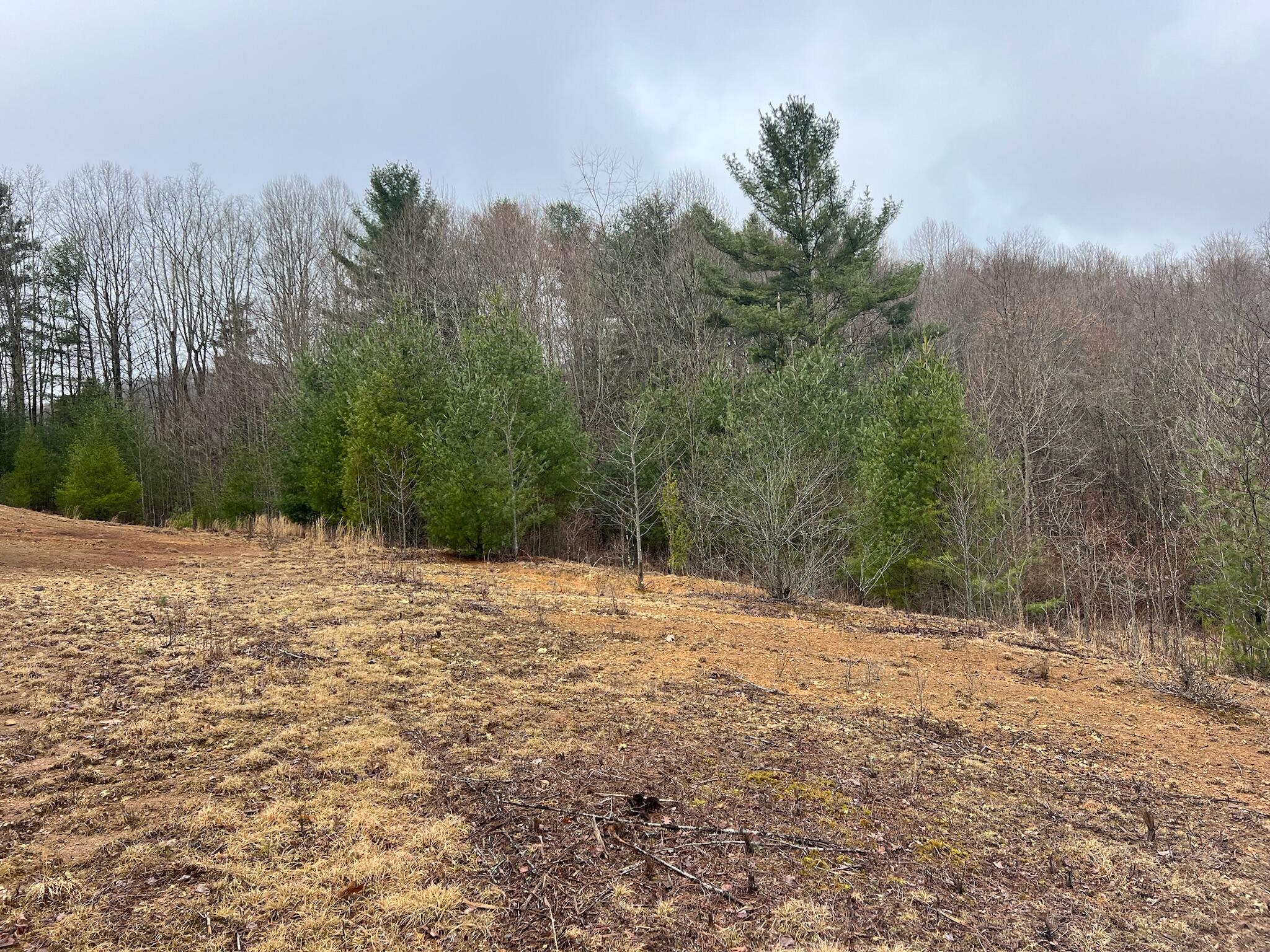 Meadow Bridge Rd Meadow Bridge Meadow Bridge, WV 25976 - Photo 16 of 22 Gallery Image 16