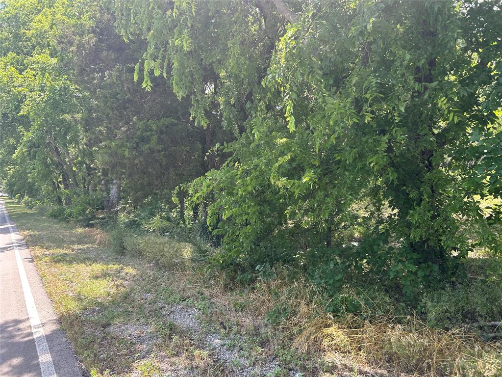 4401 Dexham Road Rowlett, TX 75088 - Photo 2 of 6 a view of a yard