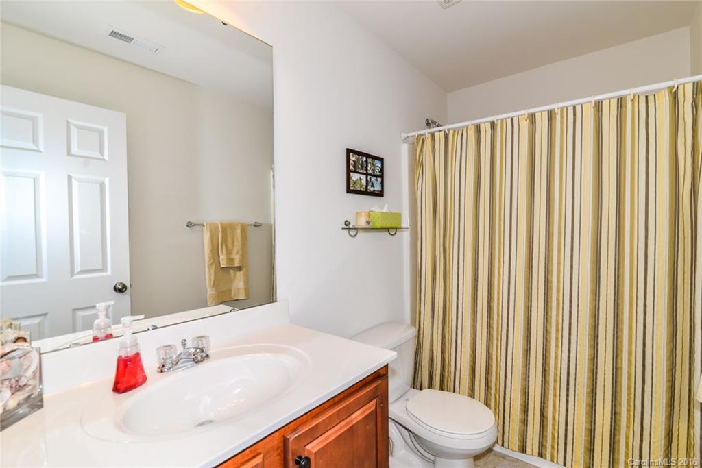1624 Beleek Ridge Lane, Unit 294 Clover, SC 29710 - Photo 8 of 24