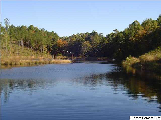 0 River Ranch Road, Unit 111 AC Ragland, AL 35131 - Photo 2 of 3