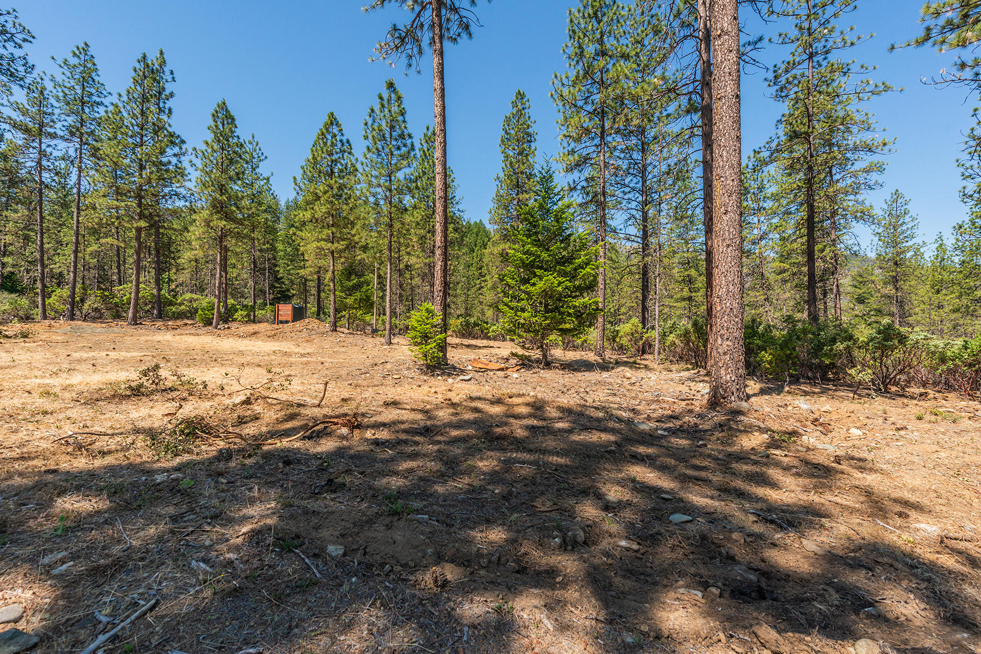 901 Dutch Creek Road Junction City, CA 96048 - Photo 29 of 70