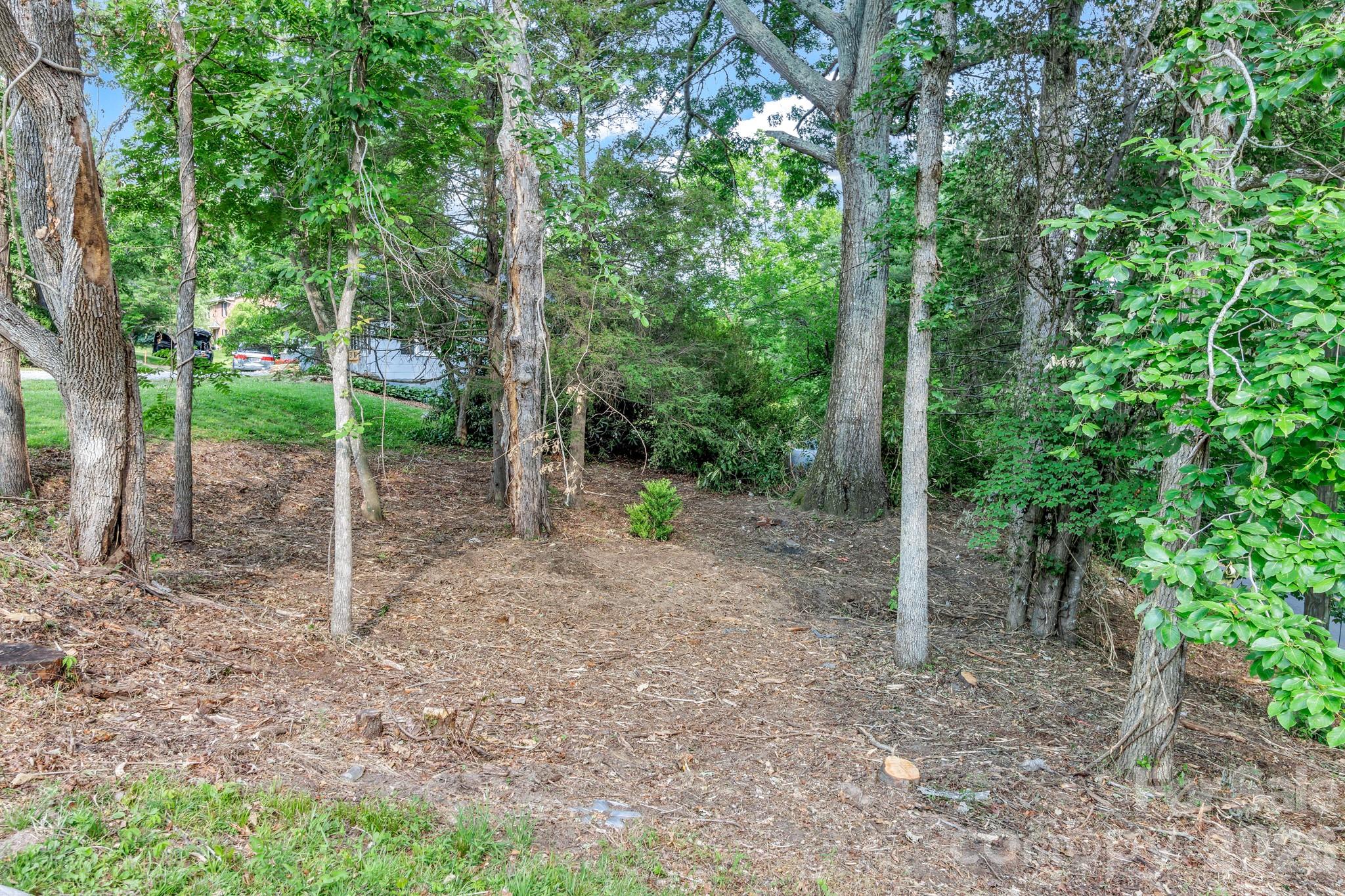 657 Old Fort Road Fairview, NC 28730 - Photo 40 of 48