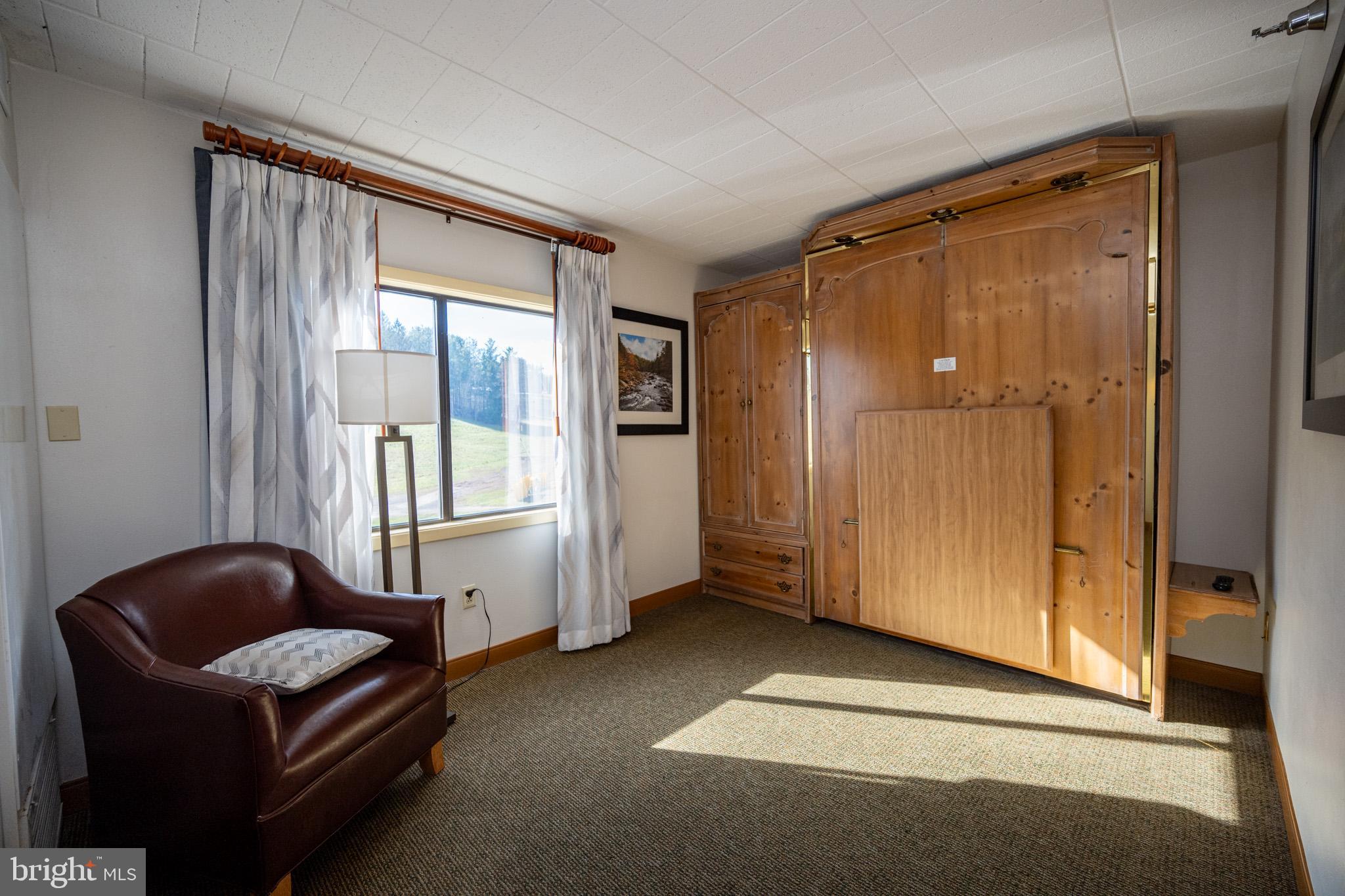 290 Marsh Hill Road, Unit 501L McHenry, MD 21541 - Photo 11 of 32