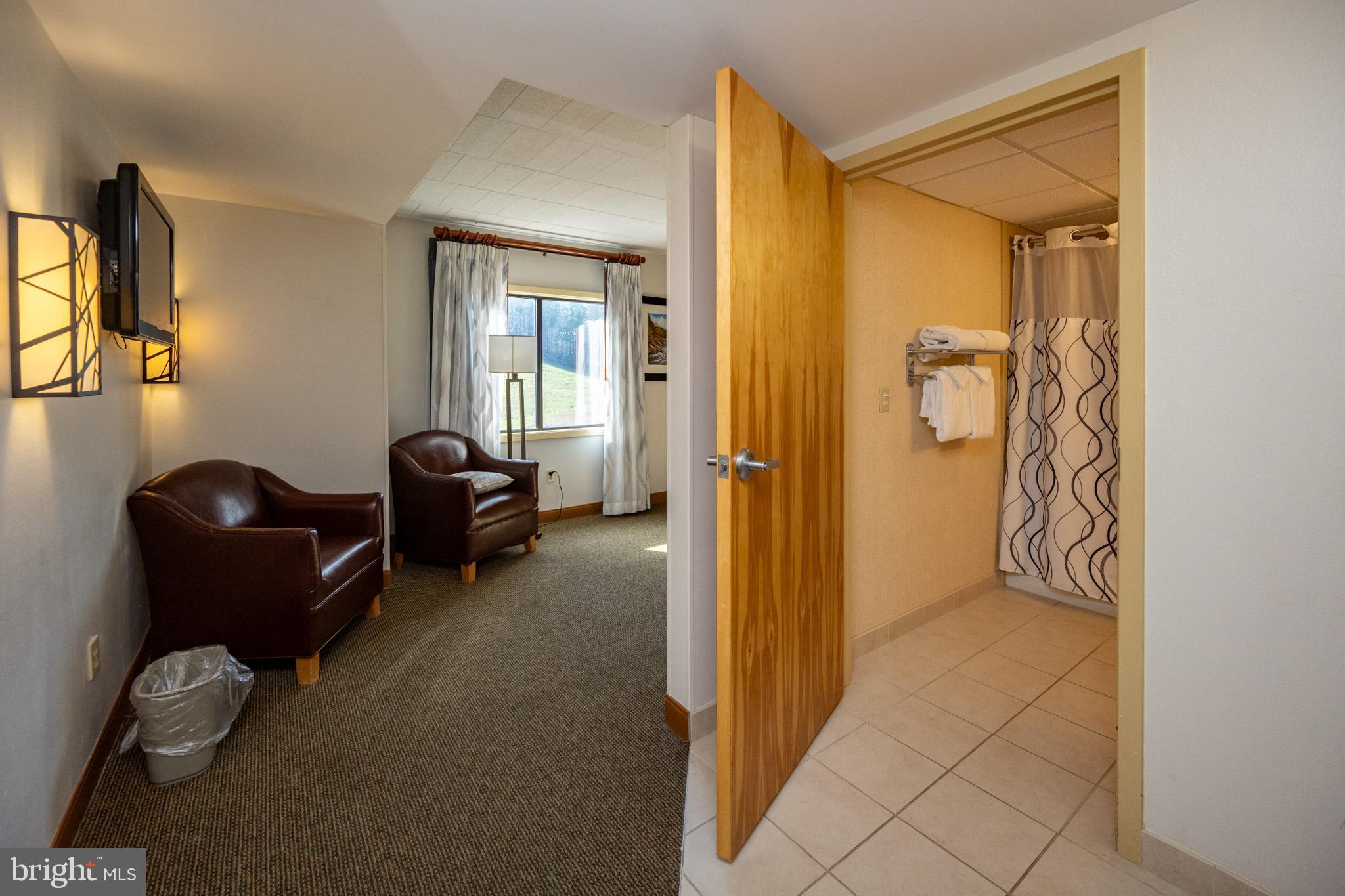 290 Marsh Hill Road, Unit 501L McHenry, MD 21541 - Photo 8 of 32