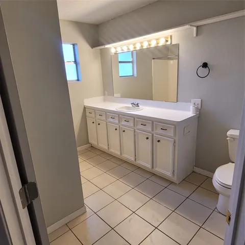 a bathroom with a sink a toilet and mirror