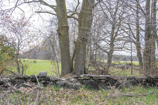 $315,000 | Tbd Highview Road, Ellison Bay, WI 54210
