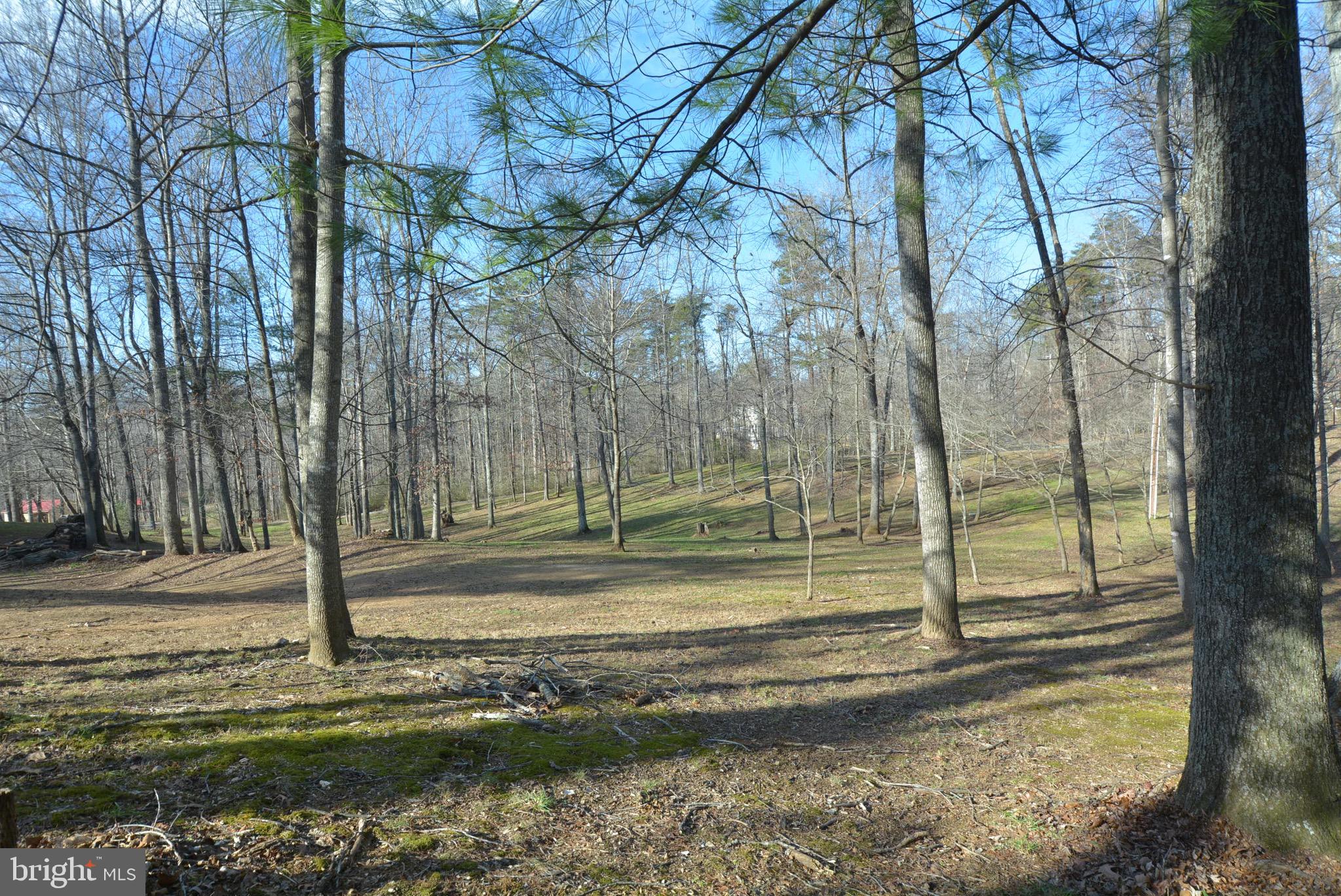 5576 Keyser Road Hume, VA 22639 - Photo 7 of 46 Gallery Image 7