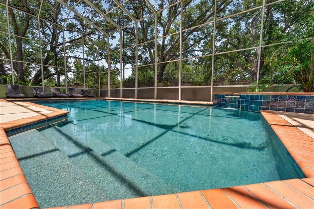 15707 Cochester Road Tampa, FL 33647 - Photo 24 of 95