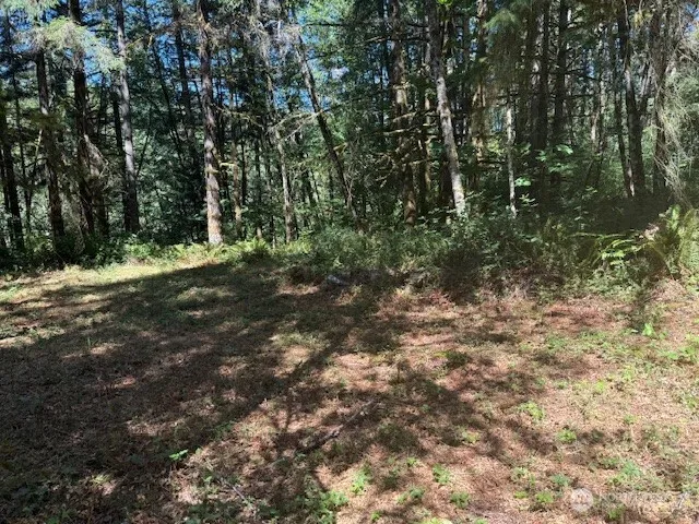 $109,900 | 20325 Bucoda Highway Southeast, Centralia, WA 98531