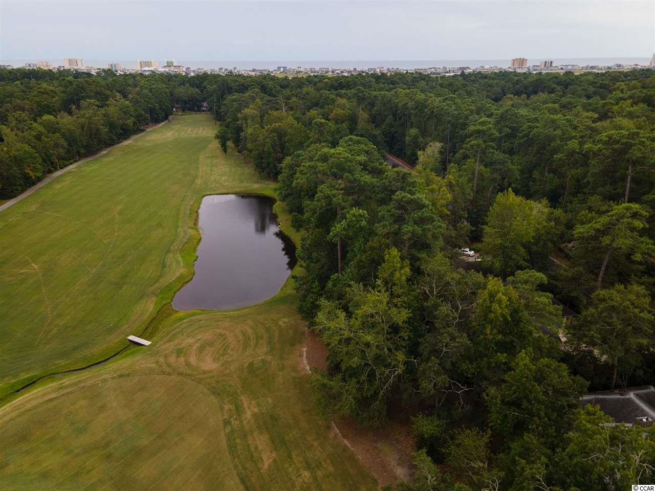 1233 Pine Valley Road North Myrtle Beach, SC 29582 - Photo 8 of 40 Gallery Image 8