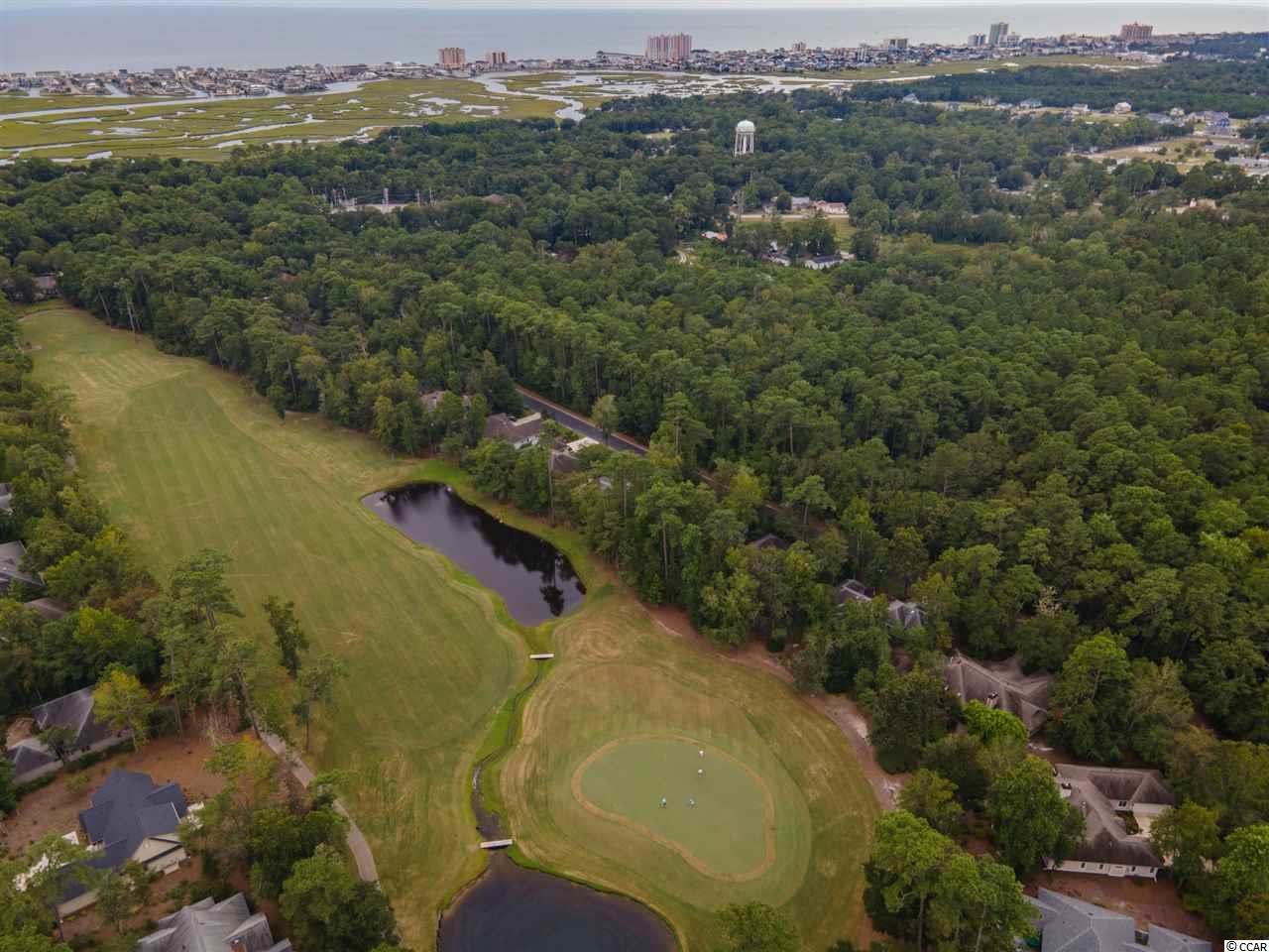1233 Pine Valley Road North Myrtle Beach, SC 29582 - Photo 9 of 40 Gallery Image 9