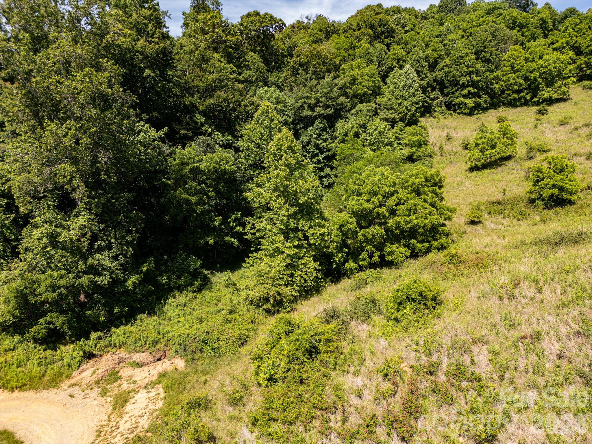 999 Murphy Cove Road Candler, NC 28715 - Photo 11 of 48