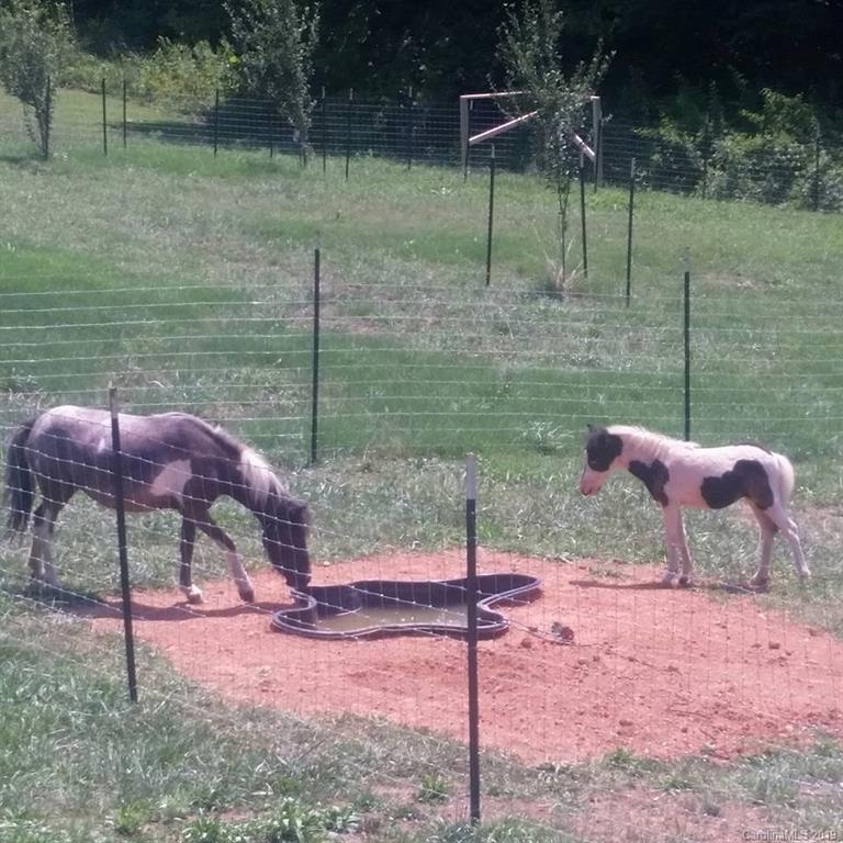 145 Doc Wehunt Road Cherryville, NC 28021 - Photo 28 of 35 Gallery Image 28
