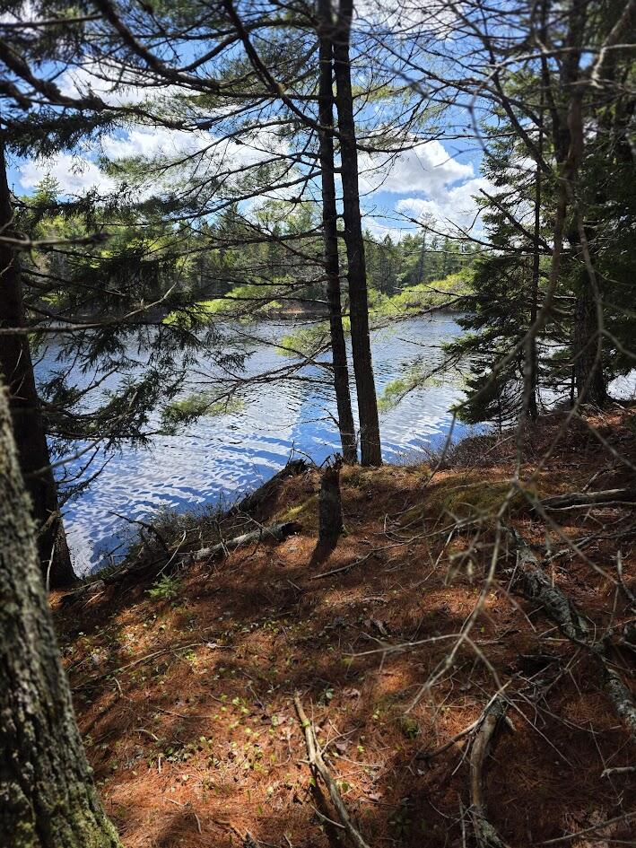 Off Northfield Road Machias, ME 04654 - Photo 36 of 39 20260507_131331
