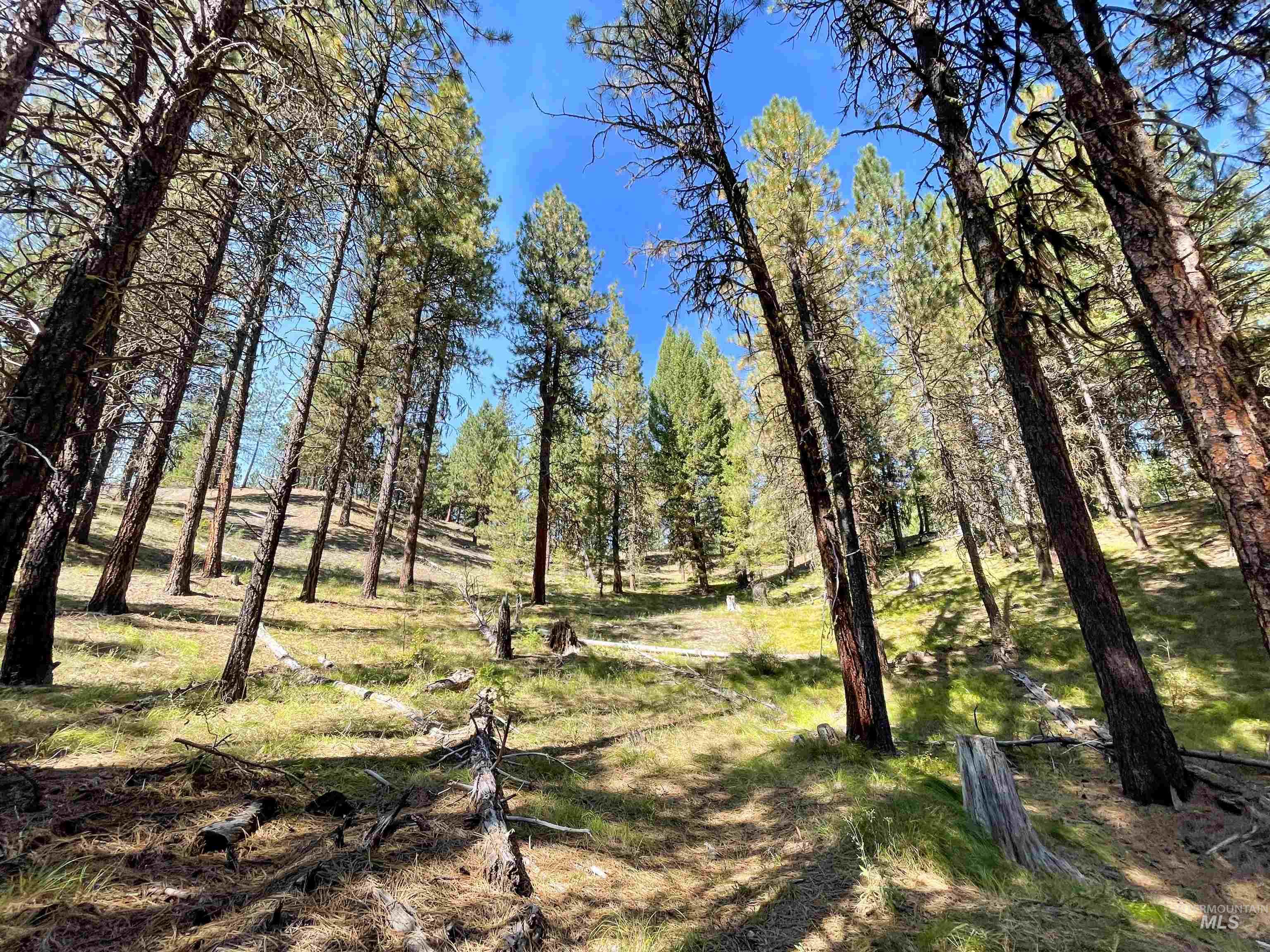 1-3 Horsethief Road Cascade, ID 83611 - Photo 8 of 11
