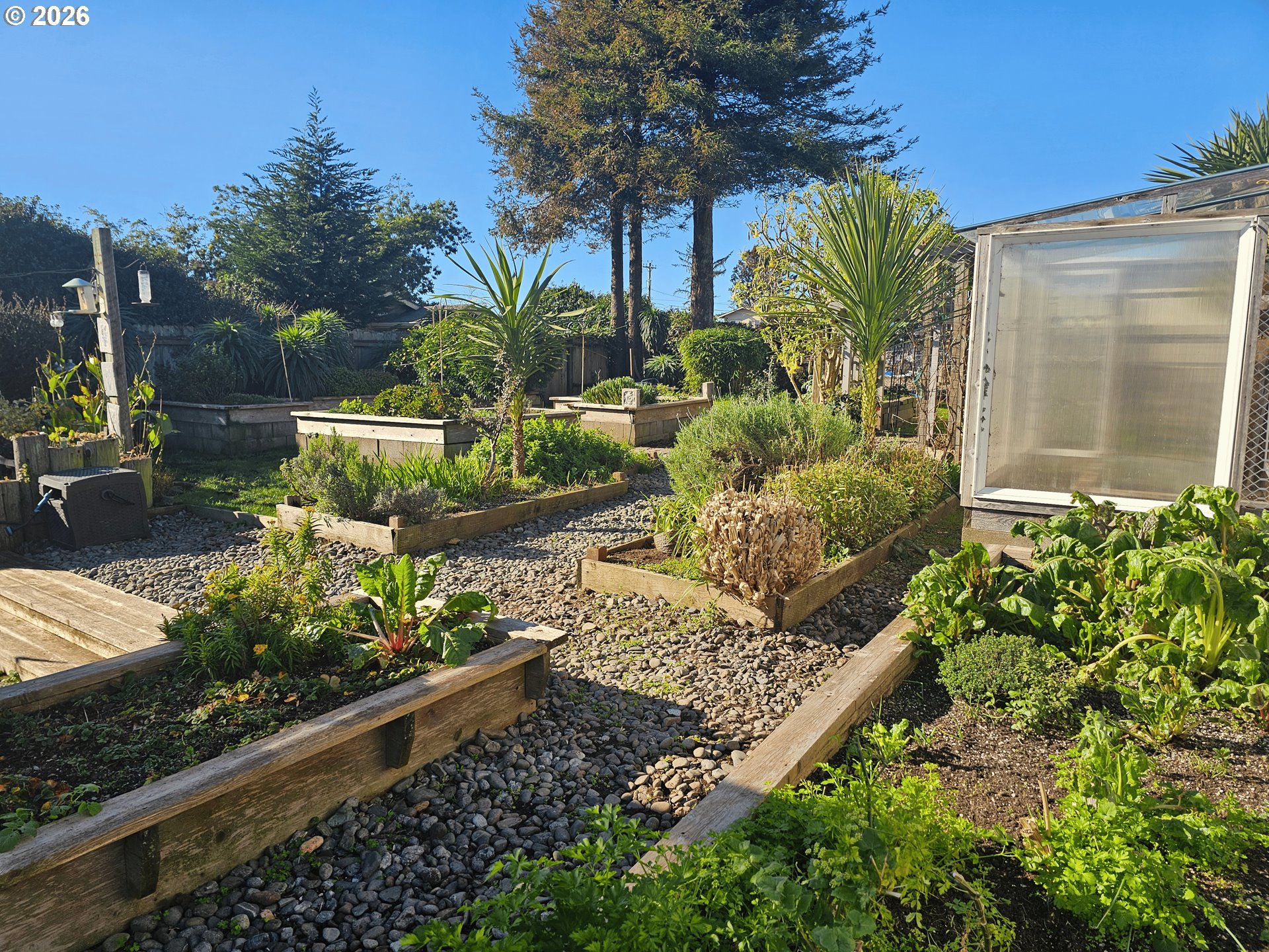 237 Wharf Street Brookings, OR 97415 - Photo 17 of 27 a view of a backyard with sitting area