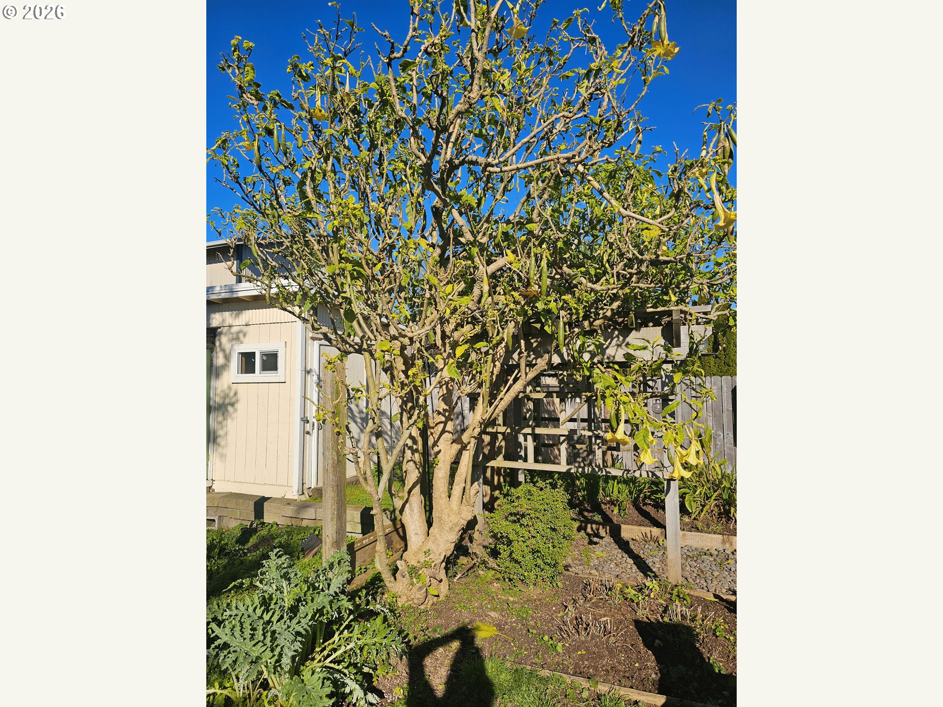 237 Wharf Street Brookings, OR 97415 - Photo 18 of 27 a picture of a door of a house