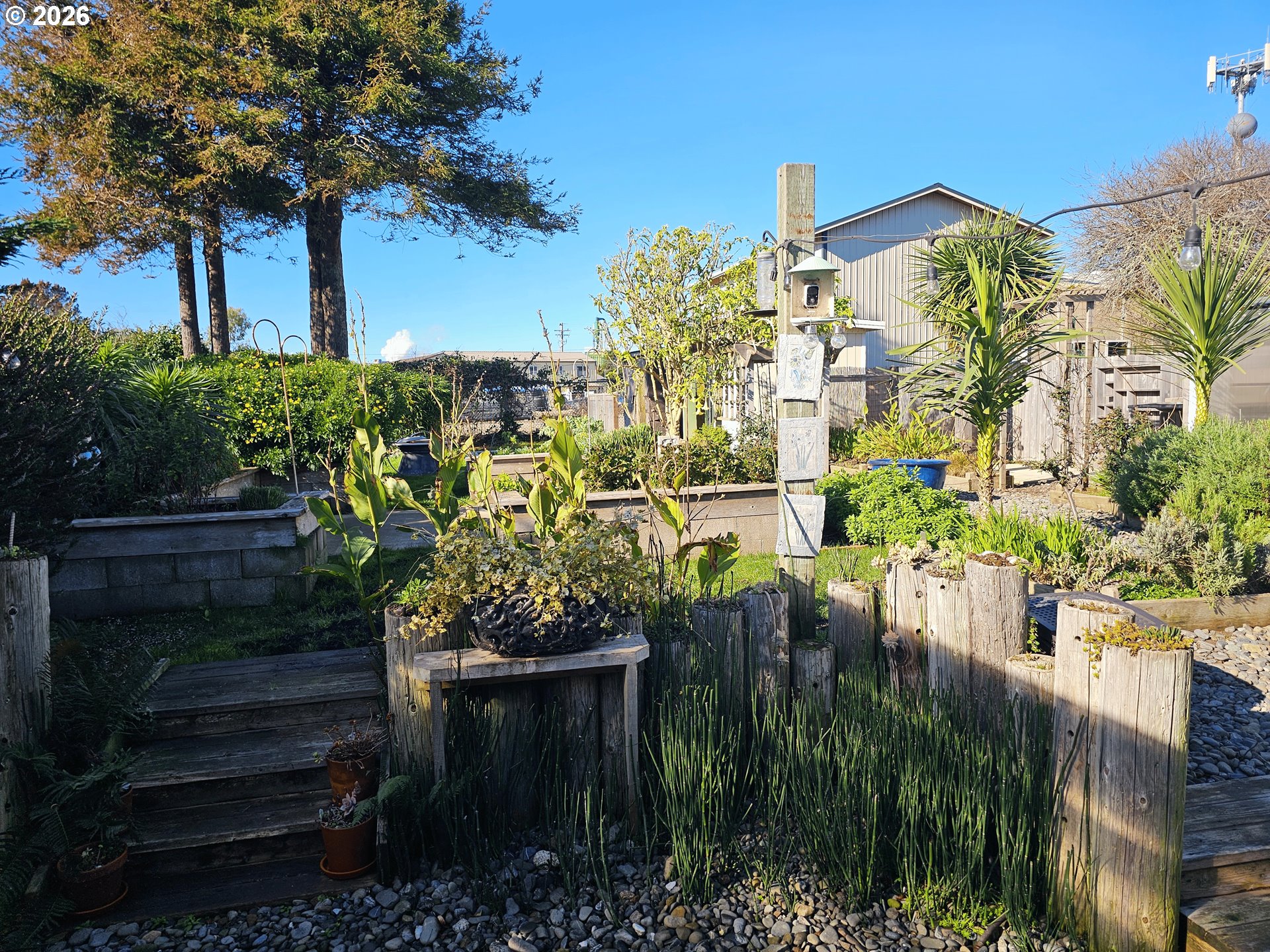 237 Wharf Street Brookings, OR 97415 - Photo 20 of 27 a picture of plants