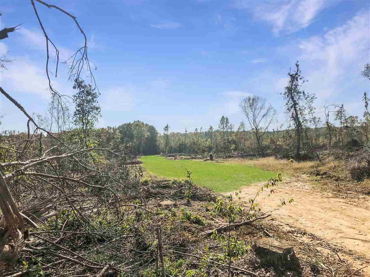 0 Good Hope Road Edwards, MS 39066 - Photo 11 of 20 Photo 11