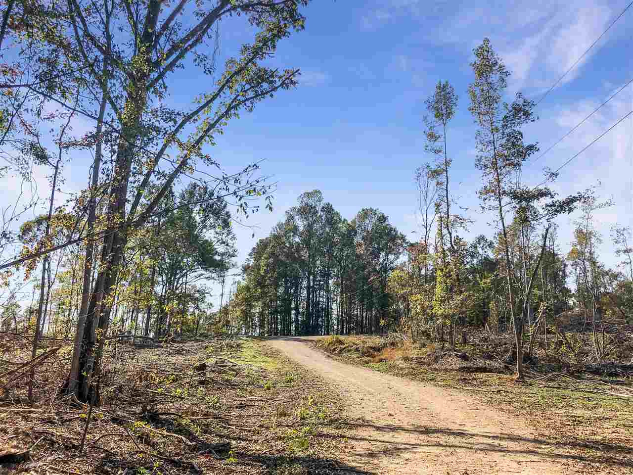 0 Good Hope Road Edwards, MS 39066 - Photo 12 of 20 Photo 12