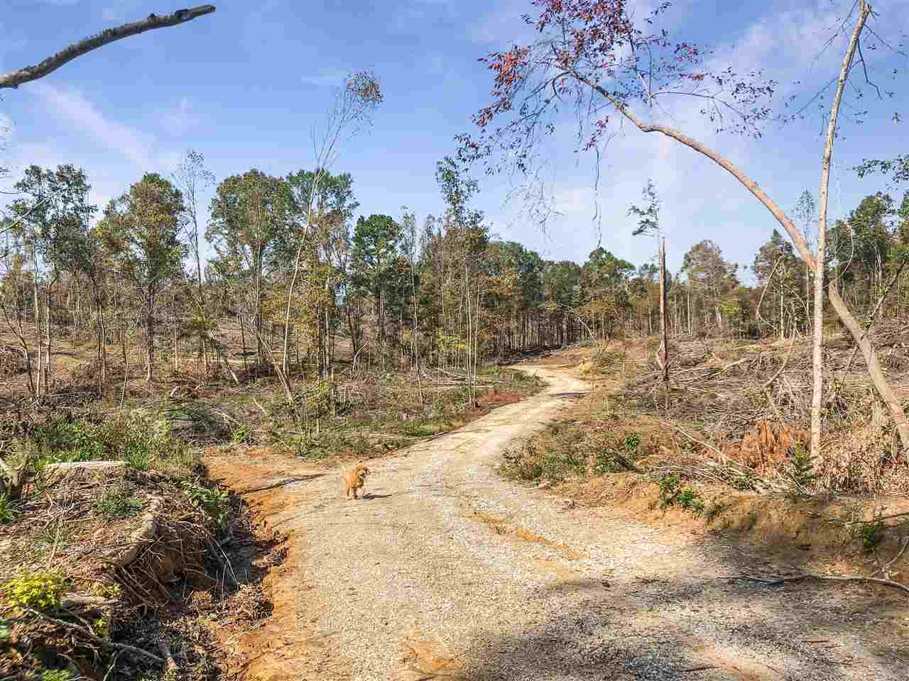 0 Good Hope Road Edwards, MS 39066 - Photo 13 of 20 Photo 13