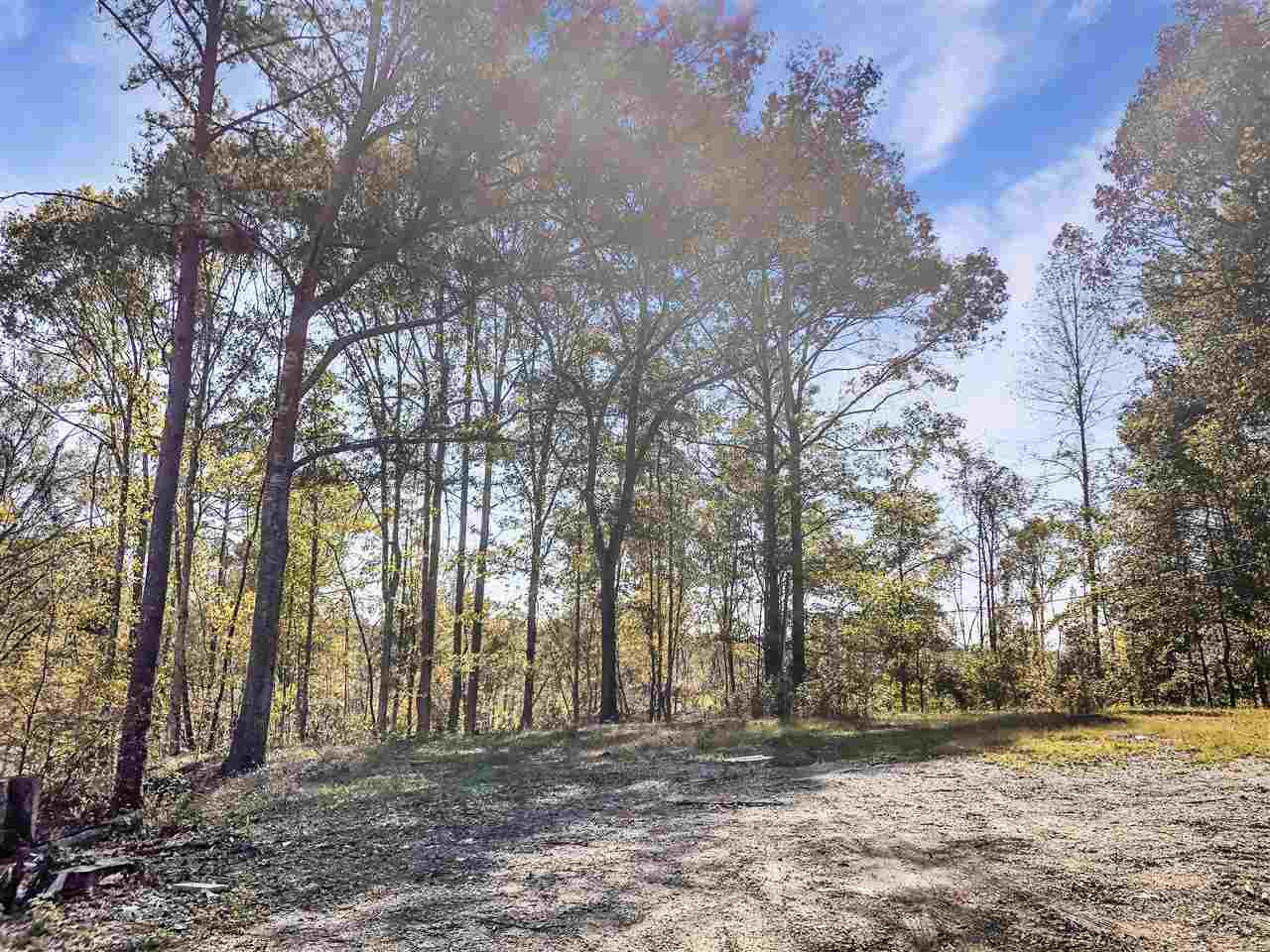 0 Good Hope Road Edwards, MS 39066 - Photo 16 of 20 Photo 16