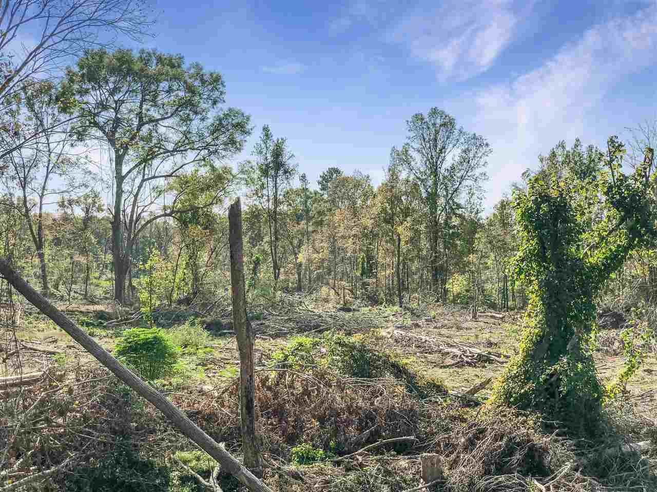 0 Good Hope Road Edwards, MS 39066 - Photo 17 of 20 Photo 17