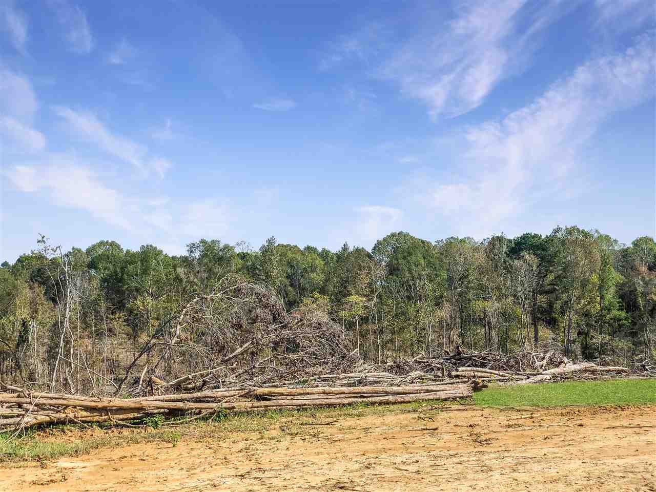 0 Good Hope Road Edwards, MS 39066 - Photo 18 of 20 Photo 18