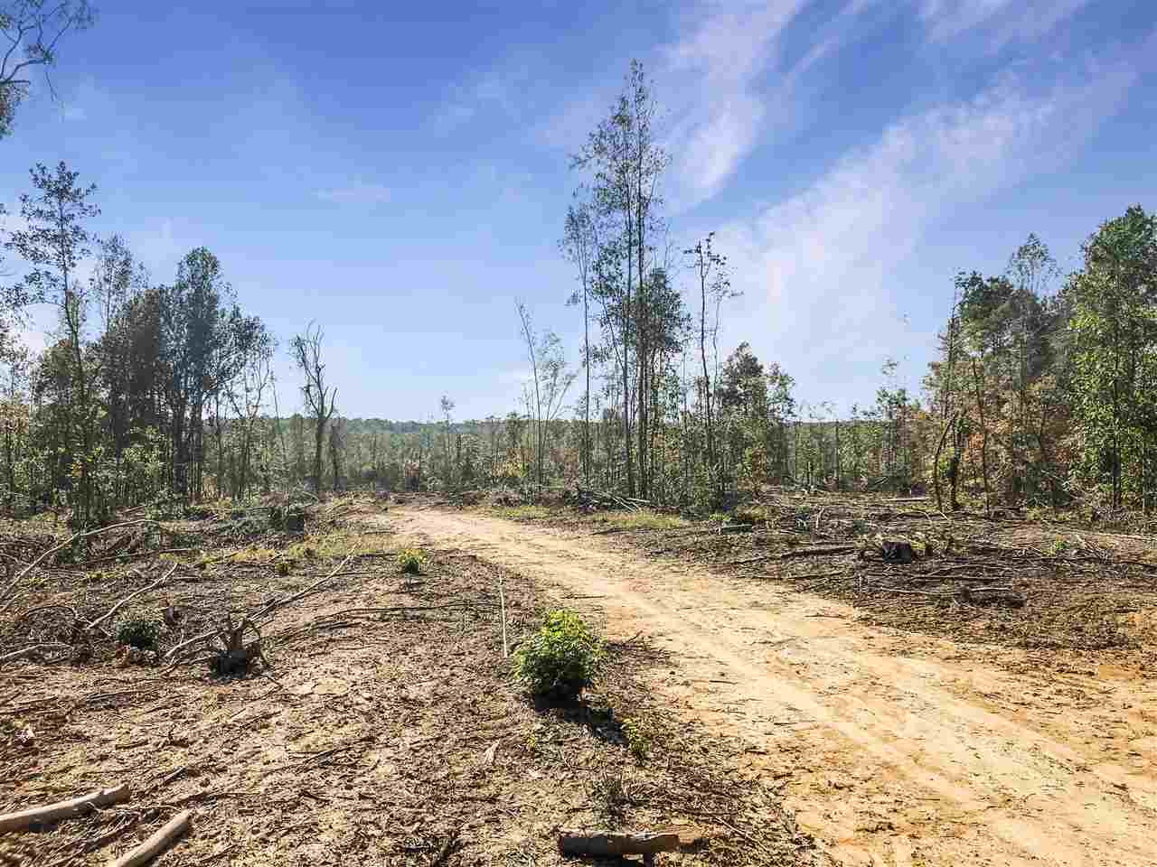 0 Good Hope Road Edwards, MS 39066 - Photo 19 of 20 Photo 19